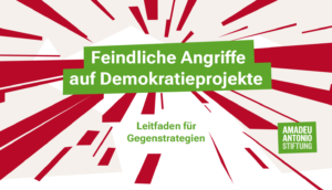 Strategien gegen Diffamierungen – Flyer veröffentlicht
